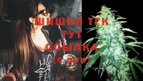 эйфоретик Баксан