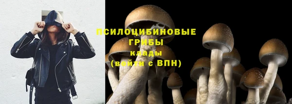 эйфоретик Балабаново
