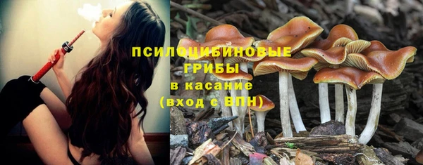 мяу мяу мука Балахна