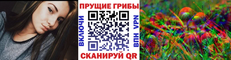 Псилоцибиновые грибы Cubensis  купить наркотики сайты  mega зеркало  Павловская 